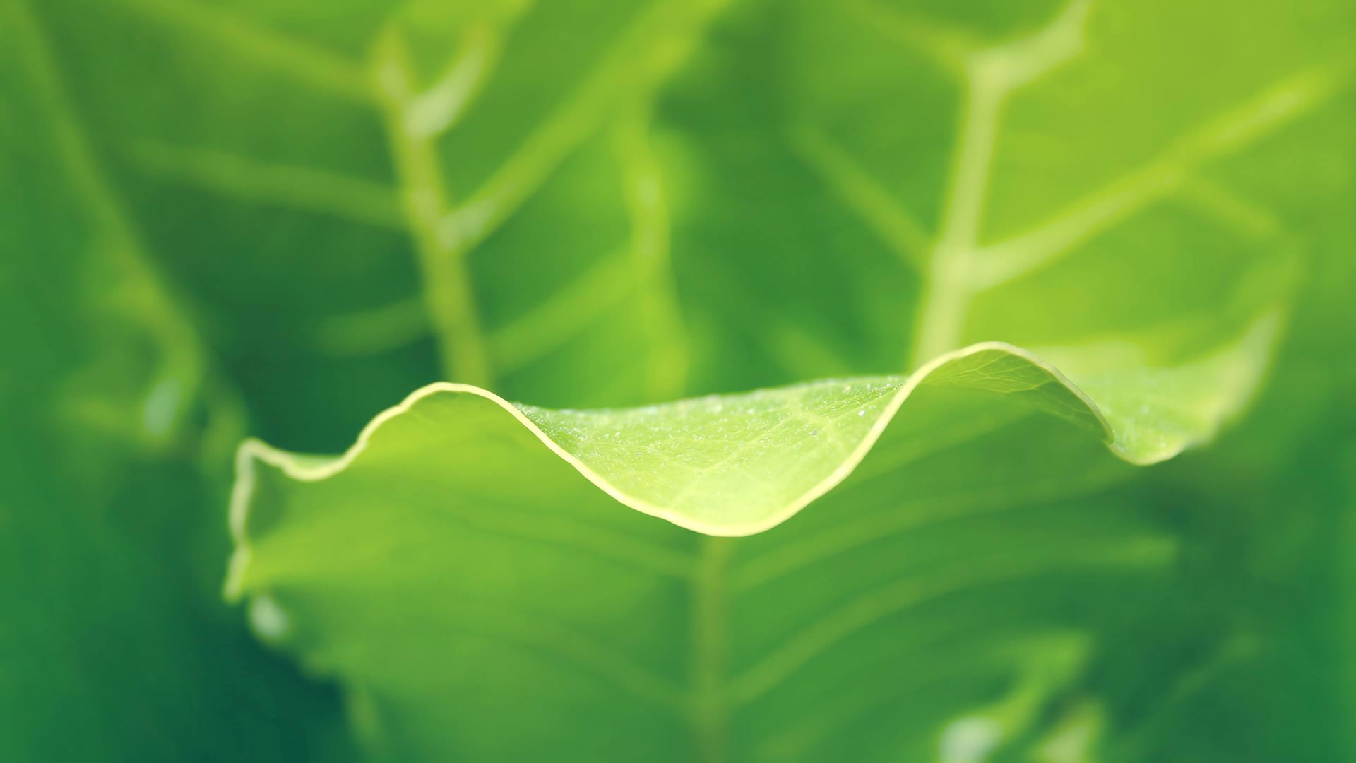 濟(jì)寧泰銘重工機(jī)械有限公司