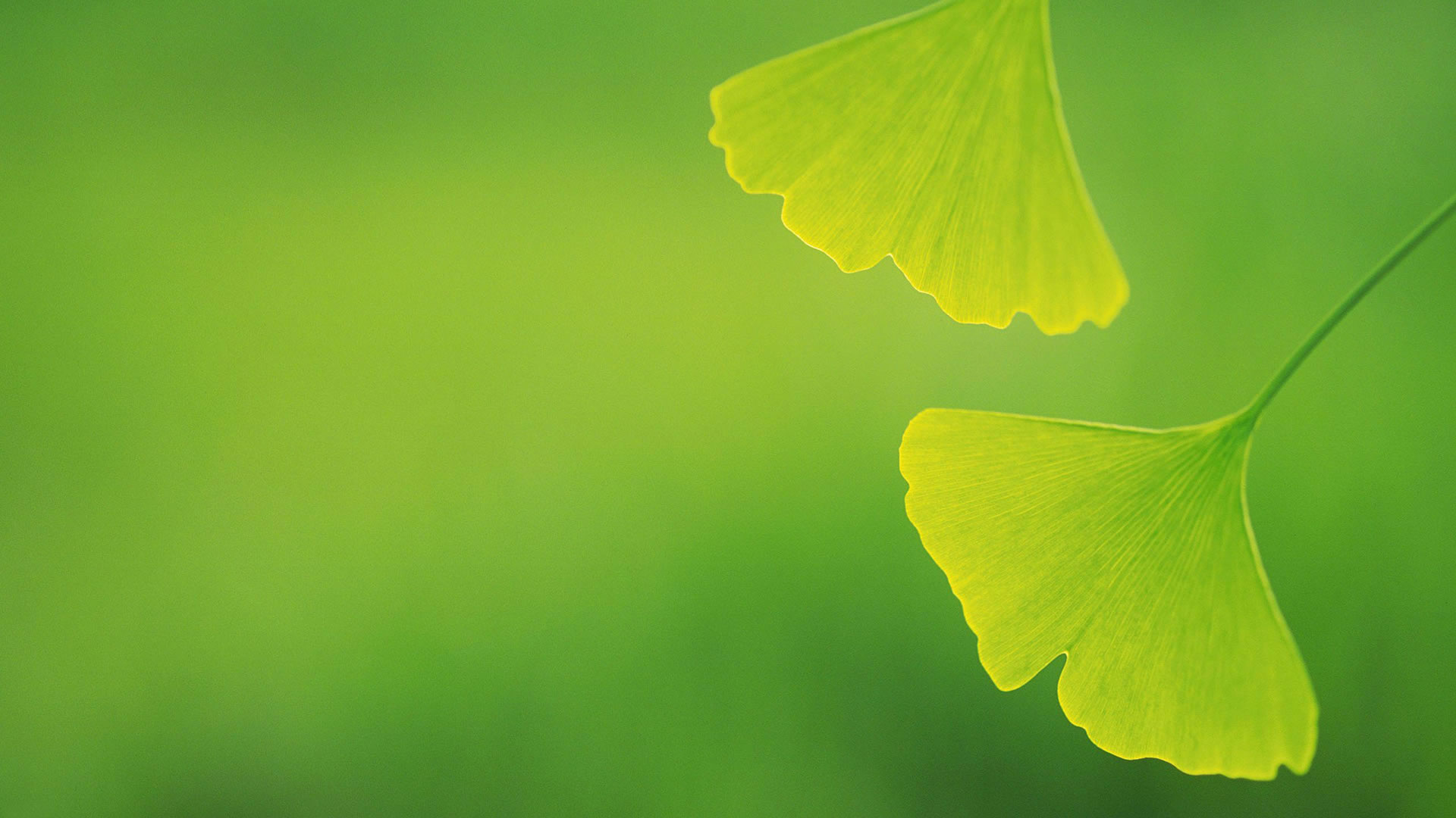 濟(jì)寧泰銘重工機(jī)械有限公司