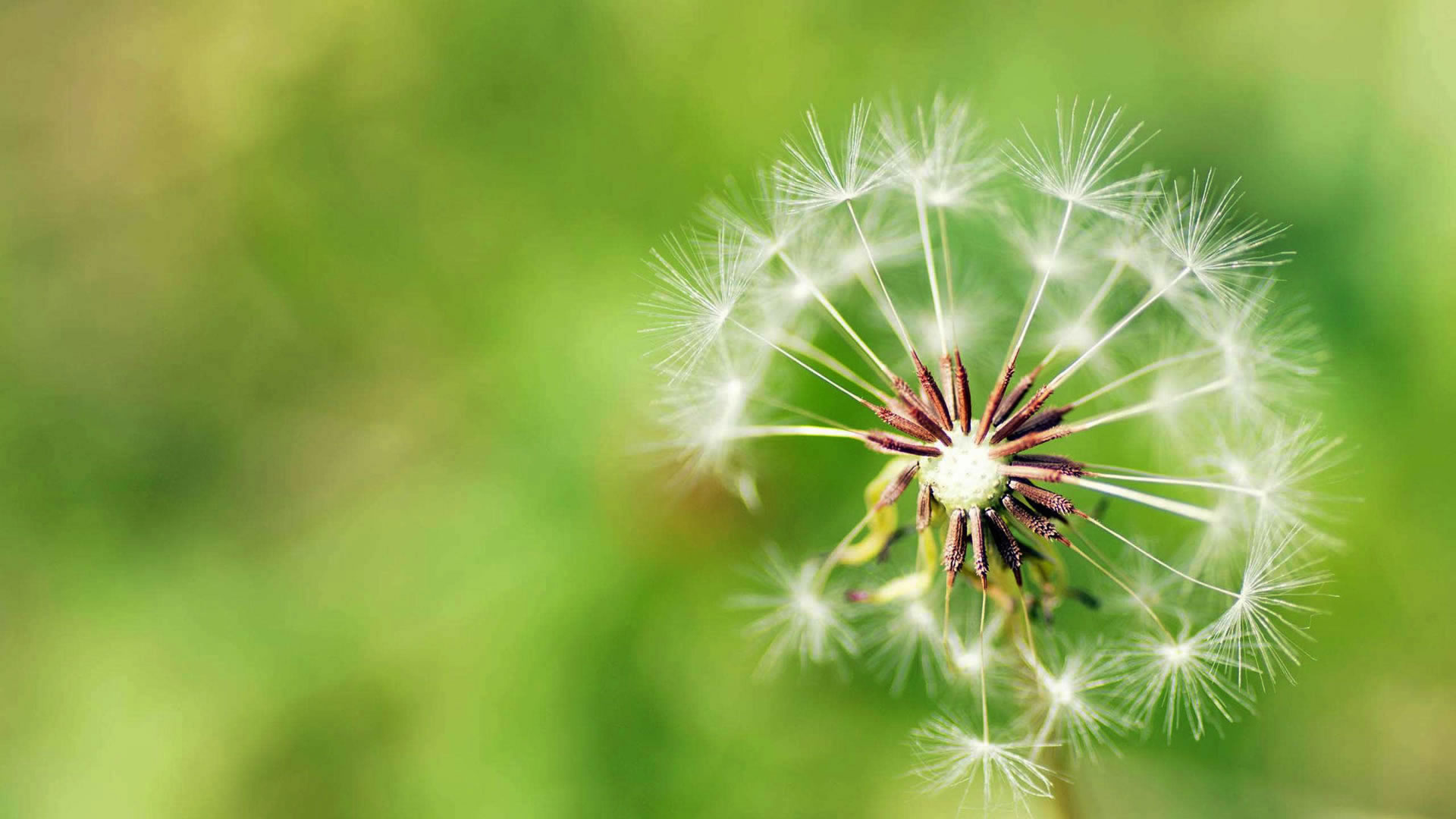 濟(jì)寧泰銘重工機(jī)械有限公司